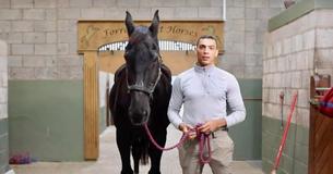 Former Cavalryman Adopts Retired Service Horse Who Helped Him Conquer Loneliness, Says Former Cavalryman Adopts Retired Service Horse Who Helped Him Conquer Loneliness, Says