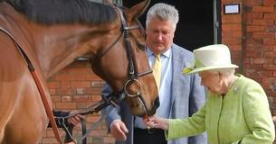 The Queen Has A Job Opening As The Caretaker Of Her Horses, Salary Is $26k And Accommodation Is Included At Buckingham Palace The Queen Has A Job Opening As The Caretaker Of Her Horses, Salary Is $26k And Accommodation Is Included At Buckingham Palace