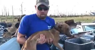 Puppy Found Alive In Rubble One Month After Hurricane Dorian Ravaged The Bahamas Puppy Found Alive In Rubble One Month After Hurricane Dorian Ravaged The Bahamas