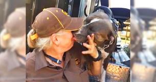 Pit Bull's Owner Dies So Delivery Driver Takes Her In Pit Bull's Owner Dies So Delivery Driver Takes Her In