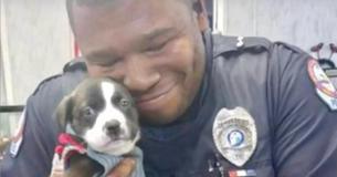 Cop Goes On A Call And Gets Smitten With Abandoned Puppy Cop Goes On A Call And Gets Smitten With Abandoned Puppy