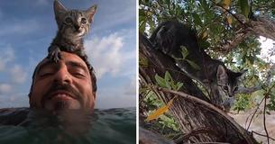 A Rescued Cat Is The Star Of 'Gracie Goes Adventuring' Featuring Her Life Outdoors A Rescued Cat Is The Star Of 'Gracie Goes Adventuring' Featuring Her Life Outdoors