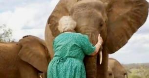 Orphaned Elephants Stand In Line To Hug Woman Who Cared For Them When Their Mothers Died In Ivory Trade Orphaned Elephants Stand In Line To Hug Woman Who Cared For Them When Their Mothers Died In Ivory Trade