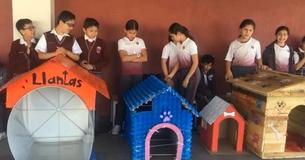 Mexican Children Built Homes For Stray Dogs With Recycled Materials Mexican Children Built Homes For Stray Dogs With Recycled Materials