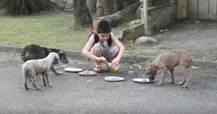 9-Year-Old Boy Felt Sorry For Stray Dogs So He Used His Pocket Money To Feed Them 9-Year-Old Boy Felt Sorry For Stray Dogs So He Used His Pocket Money To Feed Them