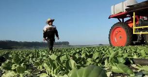 Farms Aren't Able To Hire Enough Workers To Harvest Crops So Fruit And Vegetables Rot In Fields Farms Aren't Able To Hire Enough Workers To Harvest Crops So Fruit And Vegetables Rot In Fields