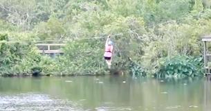 Une femme faisant un tout en tyrolienne voit un alligator surgir de l'eau et sautant en essayant de la manger Une femme faisant un tout en tyrolienne voit un alligator surgir de l'eau et sautant en essayant de la manger