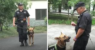Un policier voit des chiens K-9 à la retraite vivant dans la misère et décide de leur construire une maison Un policier voit des chiens K-9 à la retraite vivant dans la misère et décide de leur construire une maison