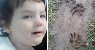 Menino de 2 anos desaparece e a polícia consegue encontrá-lo seguindo pegadas de cachorro mata adentro Menino de 2 anos desaparece e a polícia consegue encontrá-lo seguindo pegadas de cachorro mata adentro