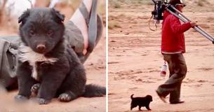 Des randonneurs trouvent un chiot affamé vivant dans un pneu qui avait été jeté au milieu du désert Des randonneurs trouvent un chiot affamé vivant dans un pneu qui avait été jeté au milieu du désert