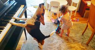 Le papa attrape sa petite fille en train de danser devant leur chien jouant du piano Le papa attrape sa petite fille en train de danser devant leur chien jouant du piano