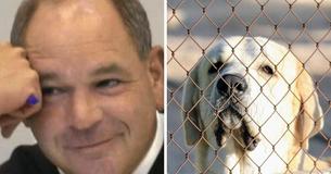 Un juge de l'Ohio fatigué par la propriétaire d'un animal domestique décide de la punir en la prenant à son propre jeu Un juge de l'Ohio fatigué par la propriétaire d'un animal domestique décide de la punir en la prenant à son propre jeu