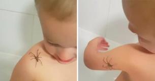 Fearless 3-Year-Old Happily Lets Spider Crawl All Over Him Fearless 3-Year-Old Happily Lets Spider Crawl All Over Him