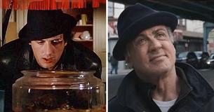 Sylvester Stallone afslører at han har taget sig af skildpadden fra Sylvester Stallone afslører at han har taget sig af skildpadden fra