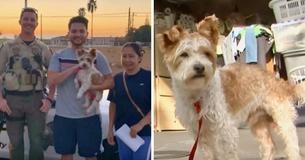 Family Reunited With Lost Dog After 'Thief' Walks Him Outside Their House Family Reunited With Lost Dog After 'Thief' Walks Him Outside Their House