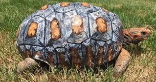 Tortoise In Brazil Loses Shell In Fire - Gets Worlds First 3D-Printed Shell Tortoise In Brazil Loses Shell In Fire - Gets Worlds First 3D-Printed Shell