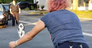 Mulher se reencontra de forma emocionante com Husky que foi tirado dela há mais de dois anos Mulher se reencontra de forma emocionante com Husky que foi tirado dela há mais de dois anos