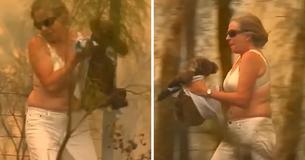Mujer rescata a un koala quemado y llorando, sacándose su propia camiseta para ello Mujer rescata a un koala quemado y llorando, sacándose su propia camiseta para ello