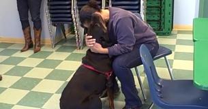 Mujer se reúne con su rottweiler en el albergue de Vermont después de dos años de separación Mujer se reúne con su rottweiler en el albergue de Vermont después de dos años de separación