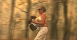 Lewis, el koala que fue rescatado por una mujer en un video famoso de un incendio forestal ha muerto por sus heridas Lewis, el koala que fue rescatado por una mujer en un video famoso de un incendio forestal ha muerto por sus heridas