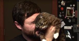 Veterinario llama a gata con Veterinario llama a gata con