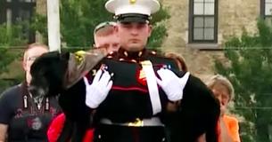 Military Dog With Terminal Cancer Gets Hero's Farewell From Local Community Military Dog With Terminal Cancer Gets Hero's Farewell From Local Community