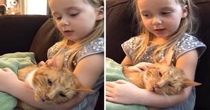 Little Girl Sings ‘You Are My Sunshine’ To Her Cat As He Passes Away Little Girl Sings ‘You Are My Sunshine’ To Her Cat As He Passes Away