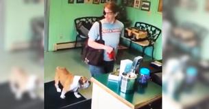 Une femme portant un cache-œil dépose son chien malade chez le toiletteur pour ne jamais revenir le chercher Une femme portant un cache-œil dépose son chien malade chez le toiletteur pour ne jamais revenir le chercher