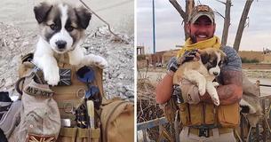 Perrita siria viaja 3.000 km a París para reunirse con el soldado que la rescató Perrita siria viaja 3.000 km a París para reunirse con el soldado que la rescató