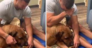 Tim Tebow publicó un conmovedor homenaje para despedirse de su querida mascota Tim Tebow publicó un conmovedor homenaje para despedirse de su querida mascota
