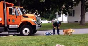 Un trabajador de la basura se acerca a un perro mientras su dueño lo graba todo en secreto Un trabajador de la basura se acerca a un perro mientras su dueño lo graba todo en secreto