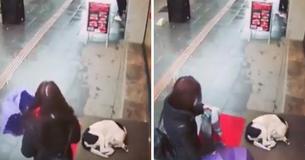 Un transeúnte le regaló su bufanda a un perrito callejero que se moría de frío Un transeúnte le regaló su bufanda a un perrito callejero que se moría de frío