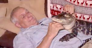 Meet Wally - An Unlikely Support Animal Meet Wally - An Unlikely Support Animal