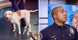 Police Officer Rescues Dog From Stolen Car And Adopts Him Police Officer Rescues Dog From Stolen Car And Adopts Him