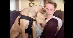 Un chien sauvé d'un refuge tombe amoureux de son frère humain Un chien sauvé d'un refuge tombe amoureux de son frère humain