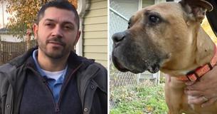 Man adopts 10-Year-Old Dog With Terminal Cancer - Says 'I Just Couldn’t Leave Her' Man adopts 10-Year-Old Dog With Terminal Cancer - Says 'I Just Couldn’t Leave Her'