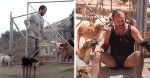 Serbian Nightclub Owner Opens Shelter And Rescues Over 1,000 Dogs From Life On The Streets Serbian Nightclub Owner Opens Shelter And Rescues Over 1,000 Dogs From Life On The Streets