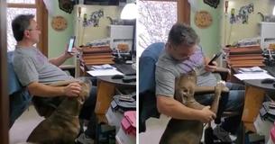 Fiancé Records Her Soon-To-Be Husband Singing To Their Dog Fiancé Records Her Soon-To-Be Husband Singing To Their Dog
