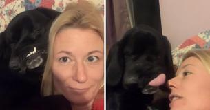 Dog Born With Facial Deformity Couldn't Find A Home Until Her Story Went National Dog Born With Facial Deformity Couldn't Find A Home Until Her Story Went National