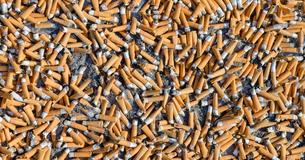 Les mégots de cigarettes sont la cause de la plus grande quantité de déchets sur terre et des bénévoles en ont ramassé 270 000 en quelques heures seulement Les mégots de cigarettes sont la cause de la plus grande quantité de déchets sur terre et des bénévoles en ont ramassé 270 000 en quelques heures seulement