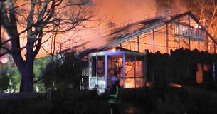 More Than 30 Animals Passed Away In Tragic Germany Zoo Fire On New Year's Eve More Than 30 Animals Passed Away In Tragic Germany Zoo Fire On New Year's Eve