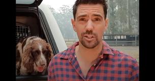 Trained Dogs Are Saving Koalas During The Australia Wildfires Trained Dogs Are Saving Koalas During The Australia Wildfires