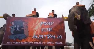 Thai Elephants And Students March In Silence For Australian Bushfires Thai Elephants And Students March In Silence For Australian Bushfires