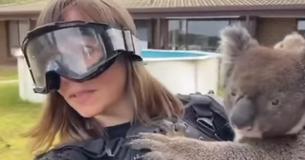 Journalist Gets Fooled By Australian Drop Bear Prank While Covering Kangaroo Island Bushfires Journalist Gets Fooled By Australian Drop Bear Prank While Covering Kangaroo Island Bushfires