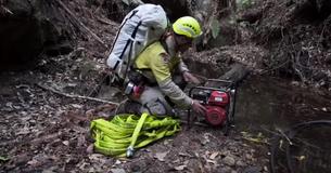 Australia's Prehistoric Wollemi Pine Trees Saved From Bushfires Thanks To Government Plan Australia's Prehistoric Wollemi Pine Trees Saved From Bushfires Thanks To Government Plan