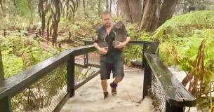 Flash Floods Prompt Koala Rescue At Australian Zoo As Wildfires Continue To Blaze Flash Floods Prompt Koala Rescue At Australian Zoo As Wildfires Continue To Blaze
