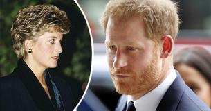 Prince Harry's Speech Eerily Similar To Diana's When She Stepped Back From Royal Duties In 1993 Prince Harry's Speech Eerily Similar To Diana's When She Stepped Back From Royal Duties In 1993