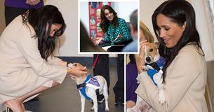 Fotos da visita de Meghan Markle à abrigo de resgate animal são lançadas no mesmo dia em que Kate Middleton lança campanha de bem-estar infantil Fotos da visita de Meghan Markle à abrigo de resgate animal são lançadas no mesmo dia em que Kate Middleton lança campanha de bem-estar infantil