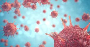 An Overview Of The Wuhan Coronavirus Outbreak An Overview Of The Wuhan Coronavirus Outbreak