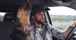 Dog Loves Singing Along To His Favorite Country Song Together With His Best Friend Dog Loves Singing Along To His Favorite Country Song Together With His Best Friend